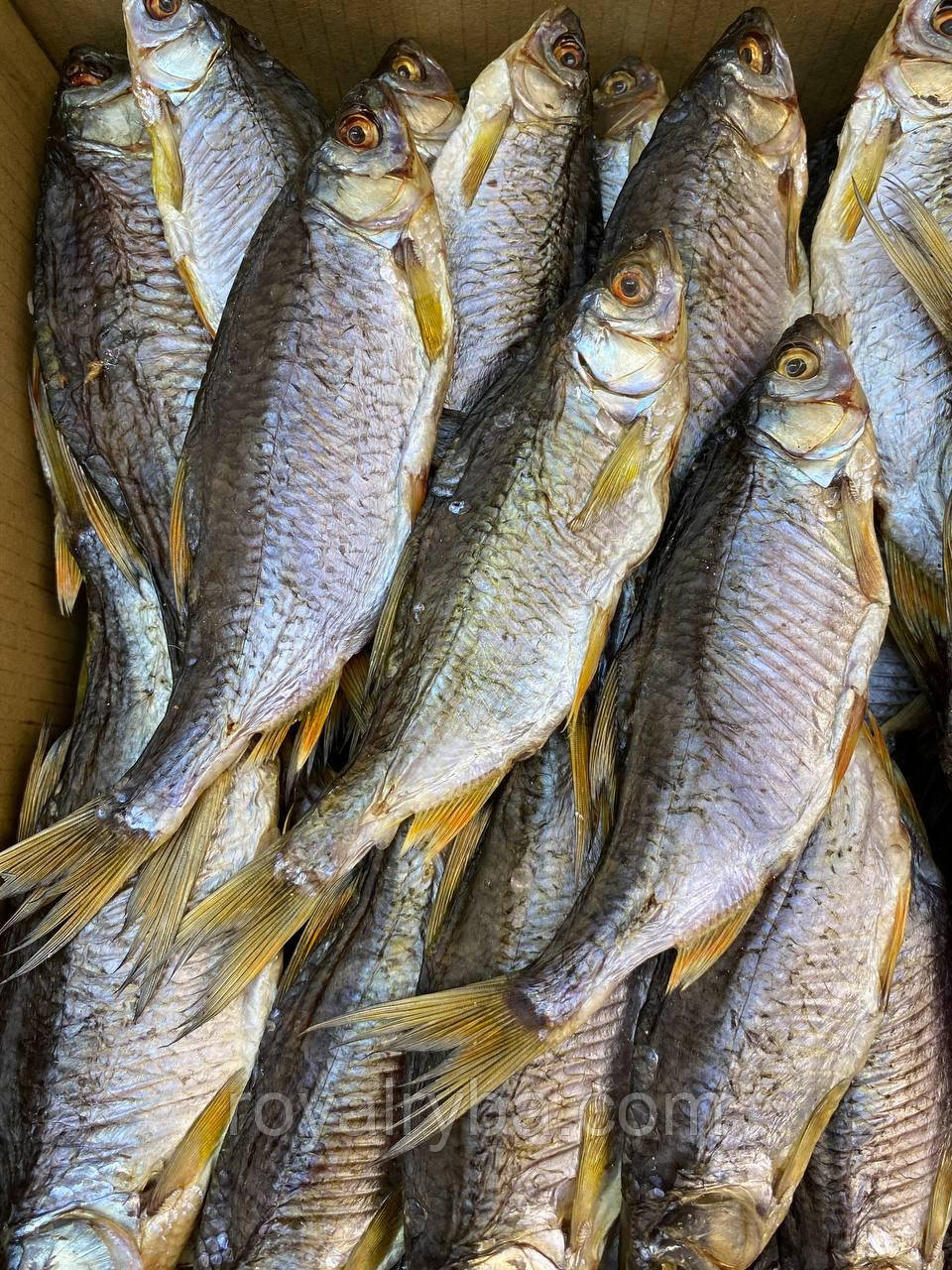 Тарань з ікрою 500грамм.Плотва.В'ялена риба., фото 1