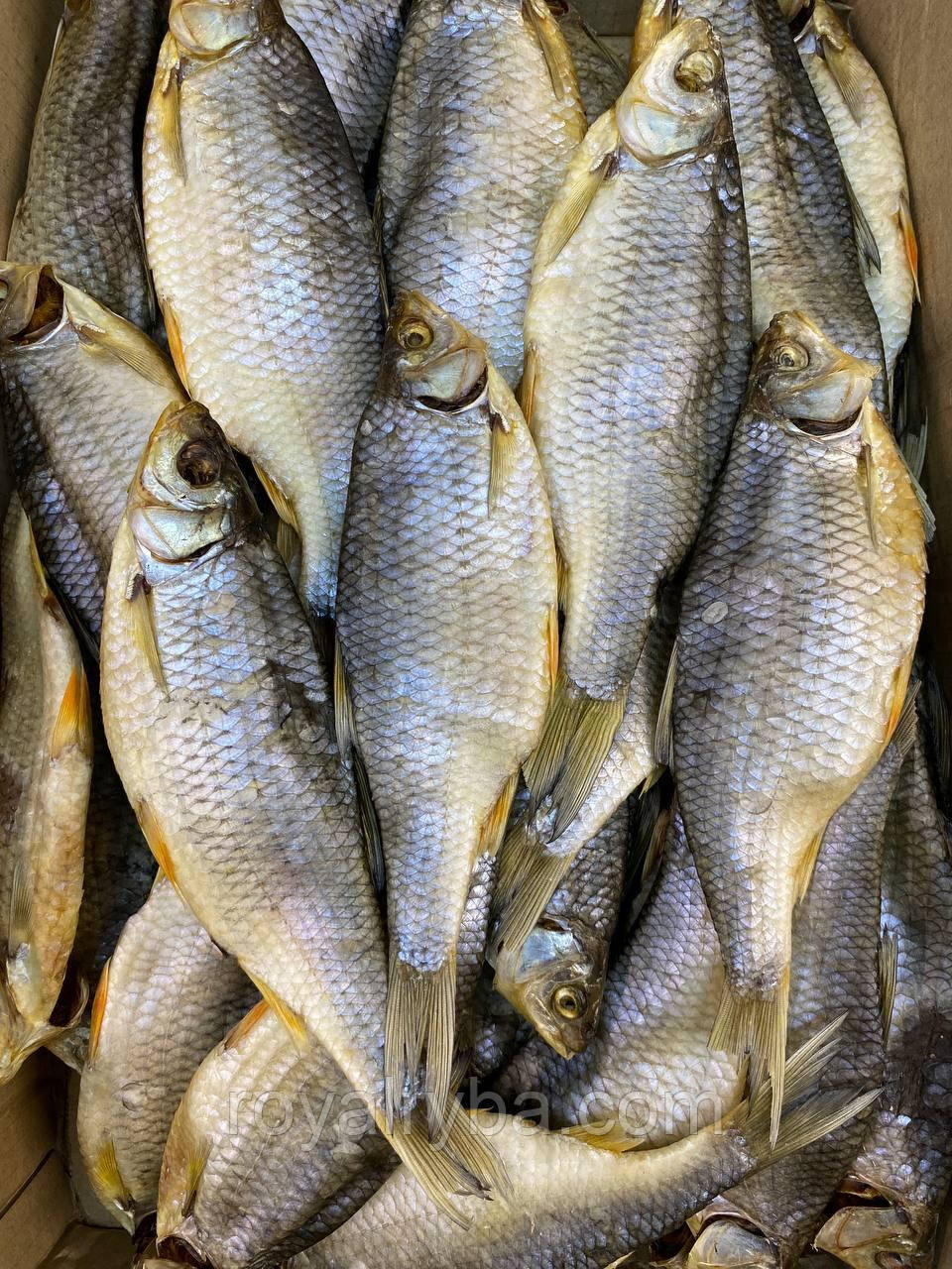 Тарань балтійська з ікрою 500грамм.Риба в'ялена.Плотва., фото 1