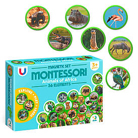 Магнітний набір Монтесорі «Тварини на континентах: Африка» 200284  "Dodo", 36 елементів, в коробці