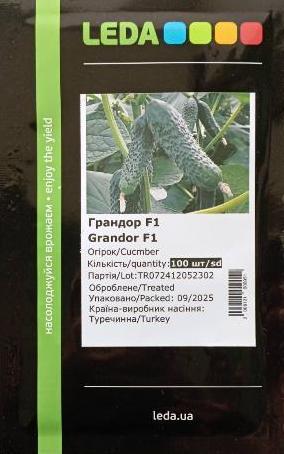 Грандор F1 100 шт (Leda), фото 1