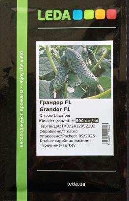 Грандор F1 500 шт (Leda), фото 1