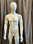Манекен чоловічий АВ18, фото 5