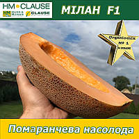 Диня з помаранчевою м’якоттю  МІЛАН F1 (CLX MAQ 08), HM. Clause (Франція), 1000 насінин