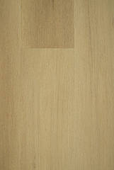 Вінілова підлога Enviro Nature XL Dryback C004 (клеєва)