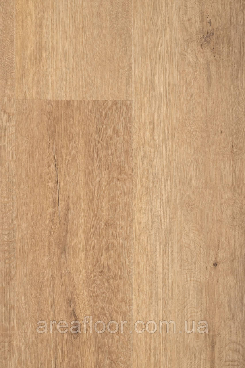 Вінілова підлога Enviro Rustic XL Dryback C013 (клеєва), фото 1