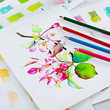 Акварельні олівці KALOUR AquaVibe набір 36 кольорів, фото 7