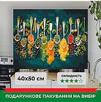 Картина за номерами Пряні спеції 40x50 см, набір з пензликами і фарбами, складність 4/5, картина на кухню BS52897