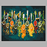Картина за номерами Пряні спеції 40x50 см, набір з пензликами і фарбами, складність 4/5, картина на кухню BS52897, фото 2