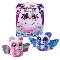 Інтерактивна іграшка Яйце-сюрприз Панда в яйці Hatchimals Alive Mystery Hatch Pandoo (6069526)