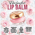 Бальзам для губ Sinart Lip Perfector Balm by DahaVisag, фото 2