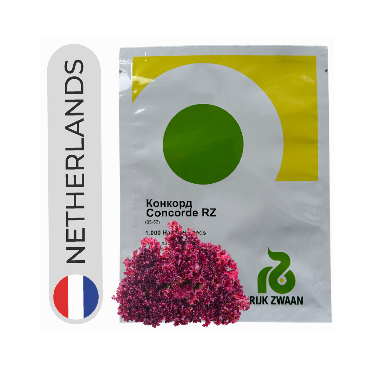 Салат Конкорд 1000 нас Rijk Zwaan, фото 1