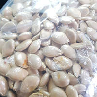 Гарбуз рожевий Банан  насіння 20шт