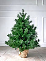 Ялинка лита штучна в мішковині 70 см Hvoya Pine Mini зелена