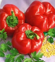 Перець та баклажани