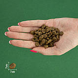 Bravery DOG Adult Mini Iberian Pork для собак малих порід, з іберійською свининою 2кг, фото 4