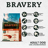 Bravery DOG Adult Large & Medium Lamb для дорослих собак cередніх та великих порід, з ягням 12кг, фото 2