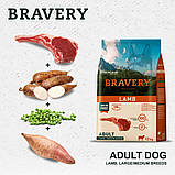 Bravery DOG Adult Large & Medium Lamb для дорослих собак cередніх та великих порід, з ягням 12кг, фото 3