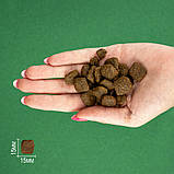 Bravery DOG Adult Large & Medium Lamb для дорослих собак cередніх та великих порід, з ягням 12кг, фото 4