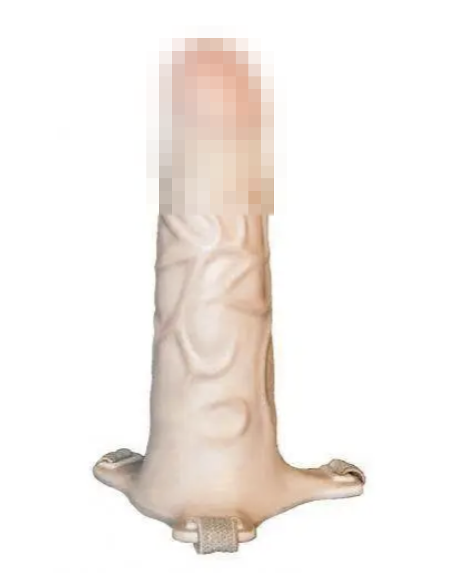 Страпон-фалопоротез EGZO FH01, 14,5х4,5 см., фото 1