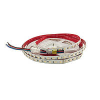 Світлодіодна стрічка RGB/2700К 5050-84-IP20-RGB/WW-12-24 RD0284AC-A RGB+WW 2700K 24 вольт 21Вт 1130лм Рішанг 20664