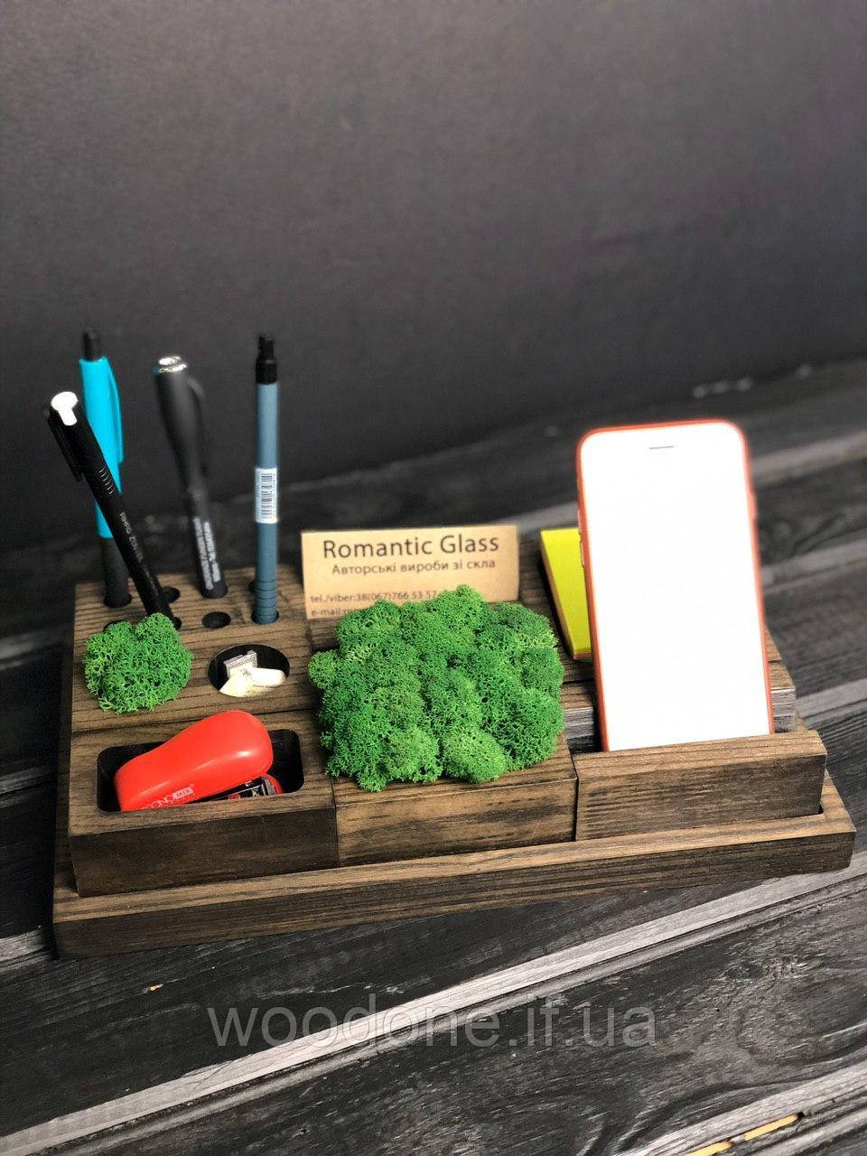 Органайзер для канцтоварів з мохом, фото 1