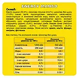 Батончик Energy Mango Енергетичний Манго FIZI, 45г DTEK з адаптогенами, фото 2