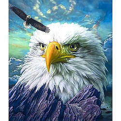 Алмазний живопис "Орел", 40х50см. в коробці GLE77493