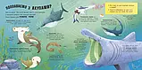 Акули люблять науку, фото 2