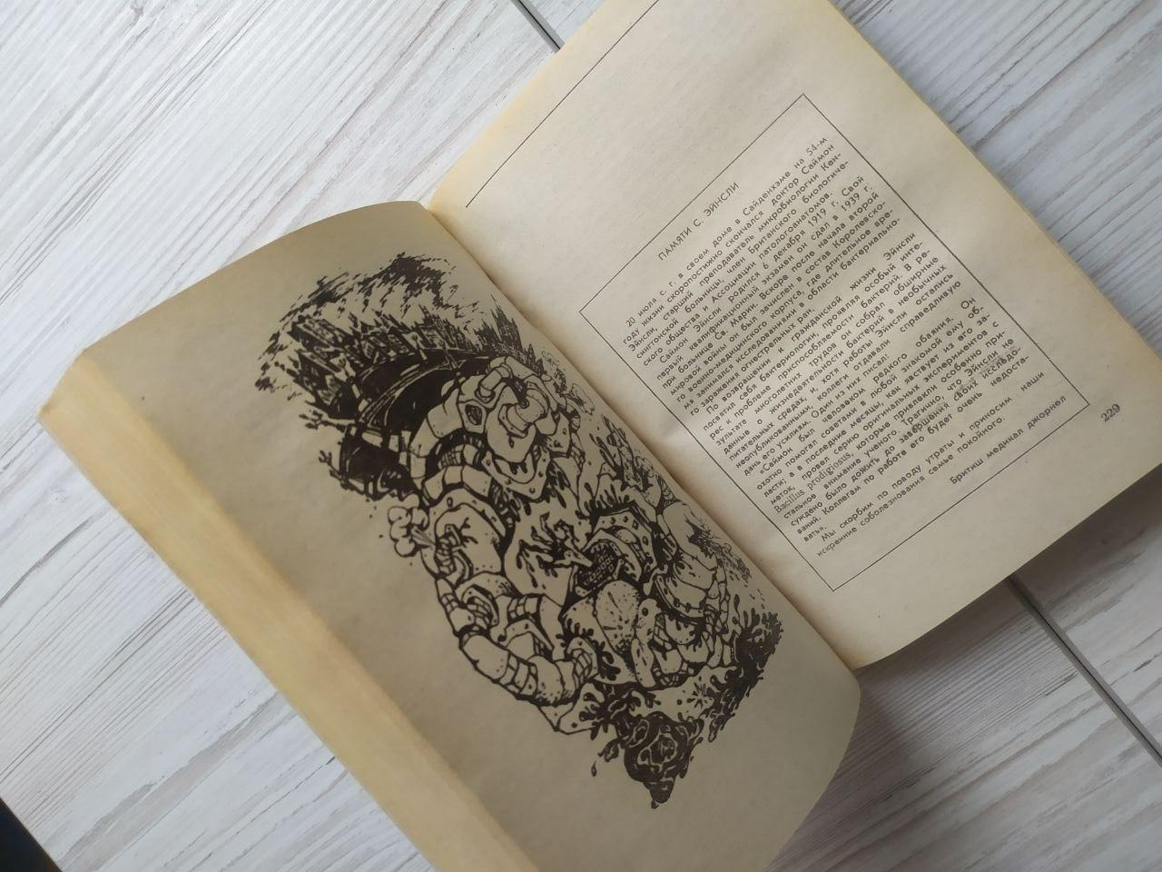 Product image preview