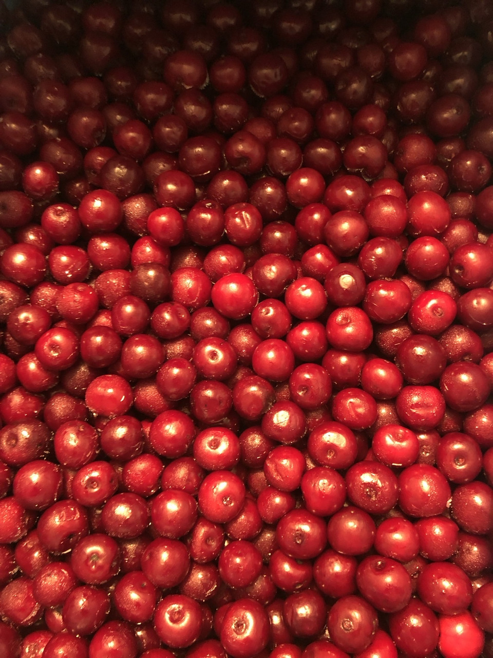 Вишня з кісточкою заморожена, фото 1