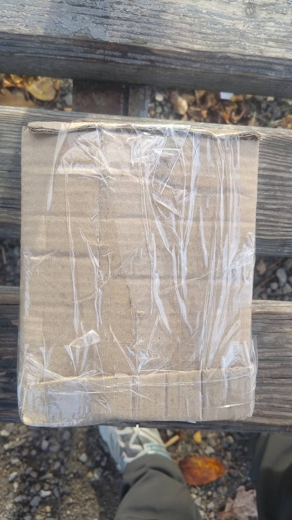 Дверцята прочисна 150х150 нержавіюча сталь. Сажотруска - фото покупців 3