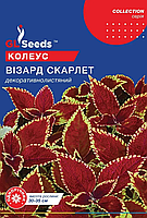 Насіння Колеусу Вiзард Скарлет (10шт), Collection, TM GL Seed