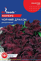 Насіння Колеусу Чорний дракон 10шт Collection TM GL Seeds
