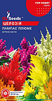 Насіння Целозiї Пампас Плюме 0.2г  TM GL Seeds