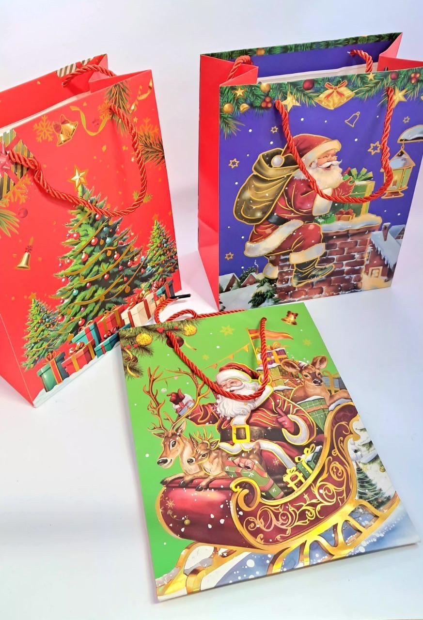 Новорічний подарунковий пакет 23*18*10 см СРЕДНИЙ ущільнений №23, фото 1