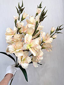 Неймовірний букет з пʼяти великих гладіолусів ( Premium, 77 см )