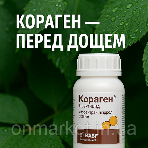 Чи можна обробляти Корагеном перед дощем: інструкція та поради BASF