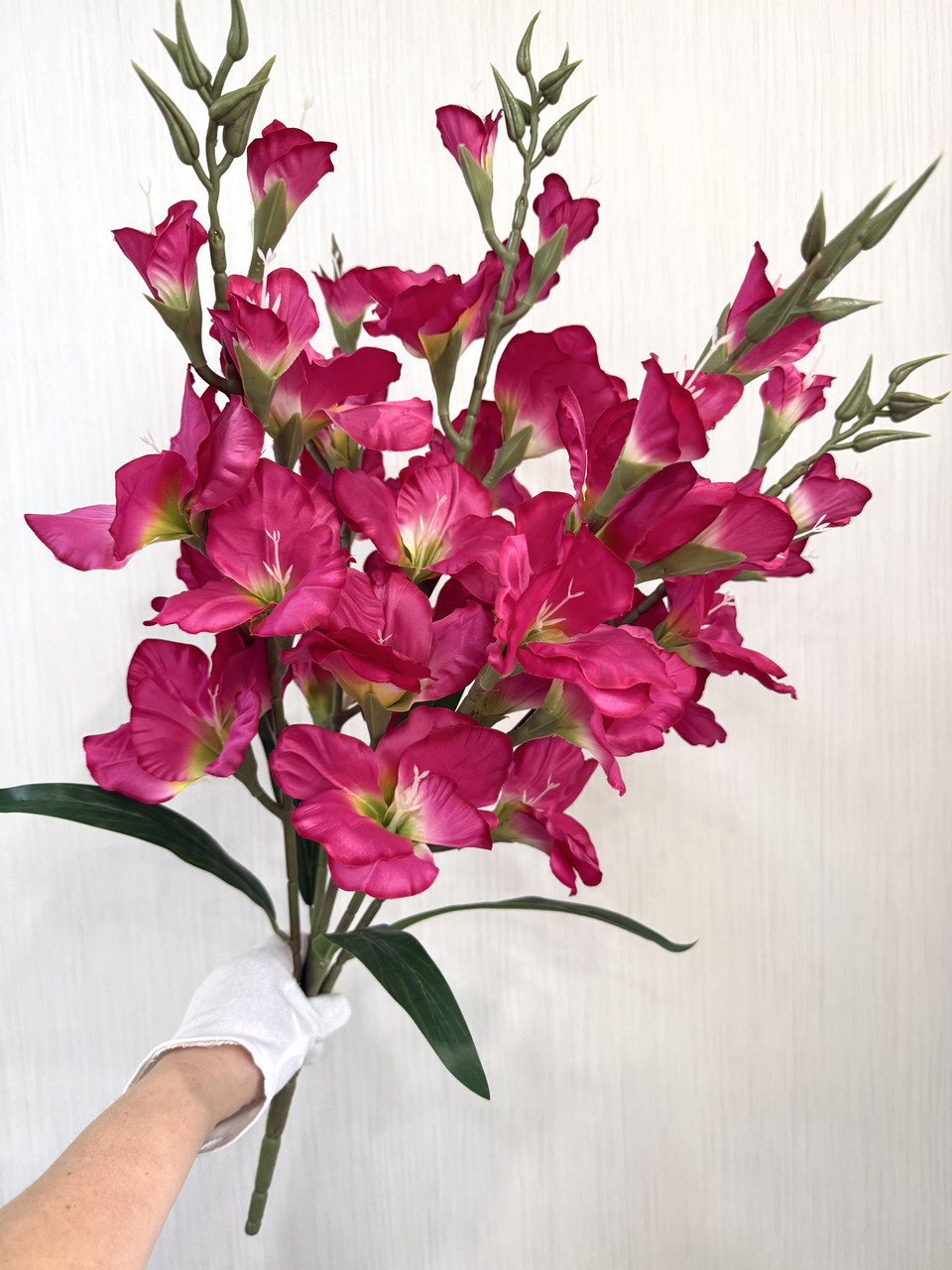 Неймовірний букет з пʼяти великих гладіолусів ( Premium, 77 см ), фото 1