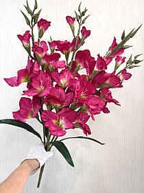 Неймовірний букет з пʼяти великих гладіолусів ( Premium, 77 см )