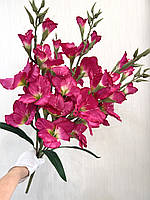 Неймовірний букет з пʼяти великих гладіолусів ( Premium, 77 см ), фото 3