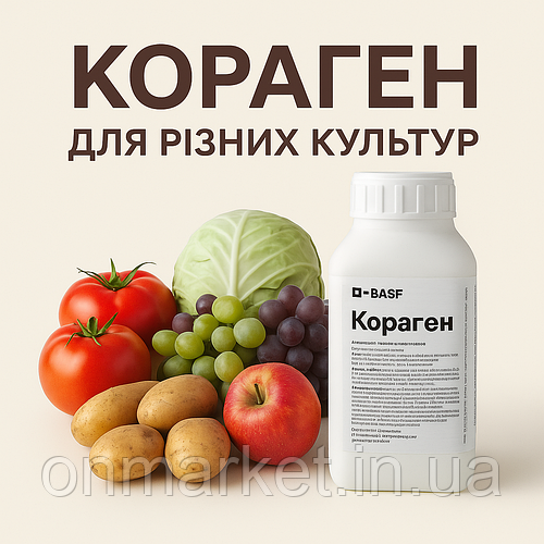 Як застосовувати інсектицид Кораген (BASF) для різних культур