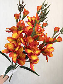 Неймовірний букет з пʼяти великих гладіолусів ( Premium, 77 см )