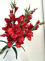 Неймовірний букет з пʼяти великих гладіолусів ( Premium, 77 см ), фото 2