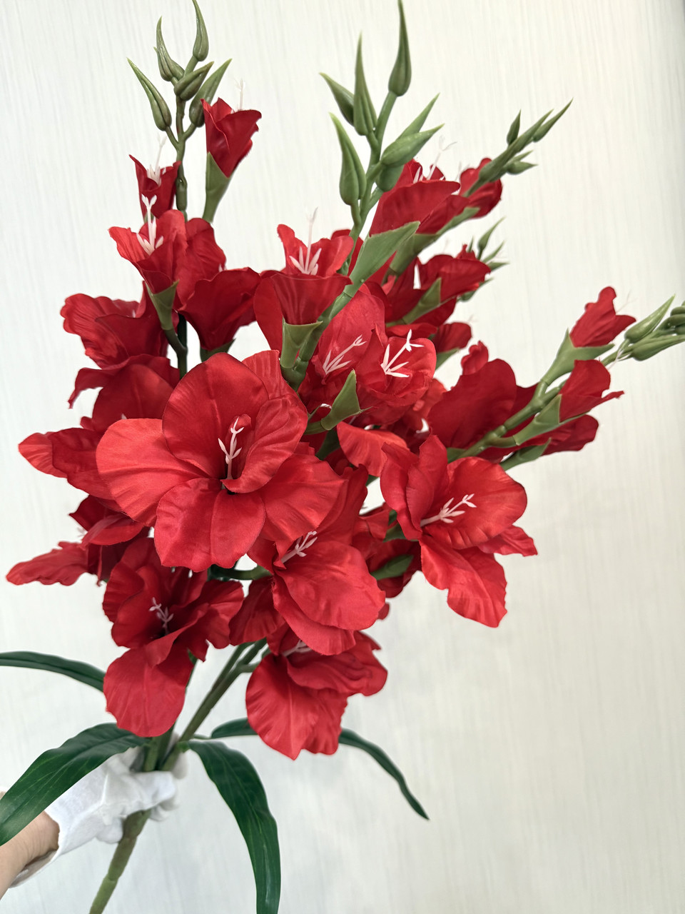 Неймовірний букет з пʼяти великих гладіолусів ( Premium, 77 см ), фото 1