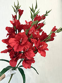 Неймовірний букет з пʼяти великих гладіолусів ( Premium, 77 см )