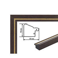 Картина за номерами Казковий замок Нойшванштайн 40x50 см + Рамка коричнево-золота