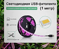 USB ФІТОЛЕНТА (1 МЕТР)