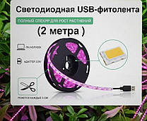 USB ФІТОЛЕНТА (USB 2 МЕТРА)