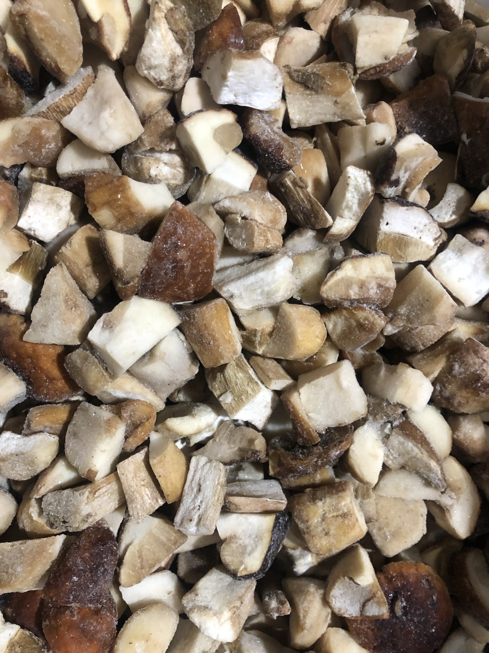 Гриби білим кубиком, фото 1