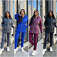 Жіночий теплий спортивний костюм-трійка на флісі із жилеткою: 42-44, 46-48, 50-52 - графіт, бордо, синій